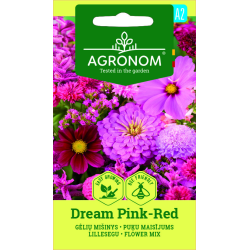Mistura de flores Dream Pink-Red - Sementes