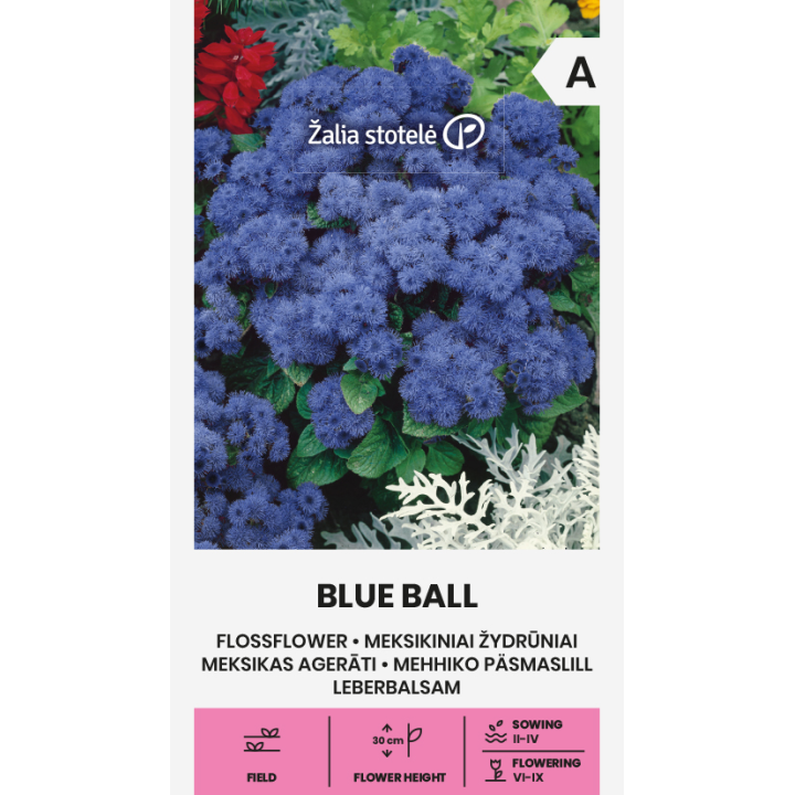 Agerato Blue Ball - Sementes