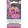 Equinácea Paradiso Super-Duper - Sementes
