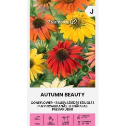 Equinácea Autumn Beauty - Sementes