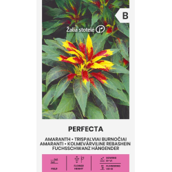 Amaranto Perfecta - Sementes