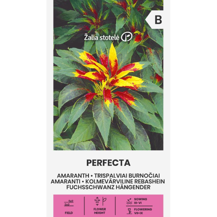 Amaranto Perfecta - Sementes