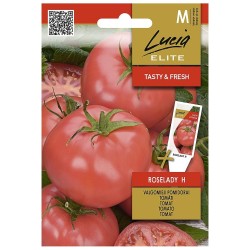 Tomate Roselady H - Sementes