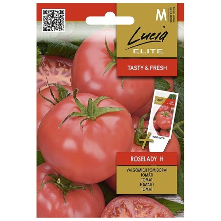 Tomate Roselady H - Sementes