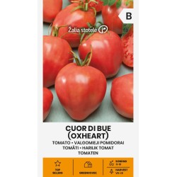 Tomate Coração de boi - Sementes
