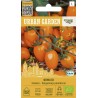 Tomate Ormato - Sementes
