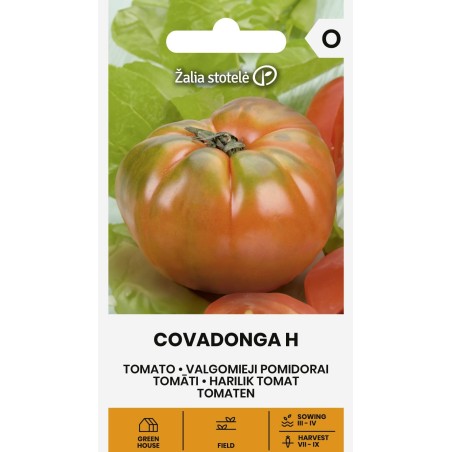 Tomate Covadonga H - Sementes