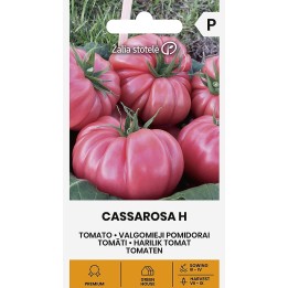 Tomate Cassarosa H - Sementes