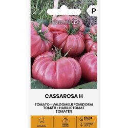 Tomate Cassarosa H - Sementes