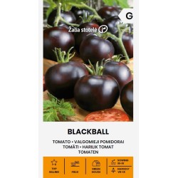 Tomate Blackball - Sementes