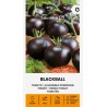 Tomate Blackball - Sementes