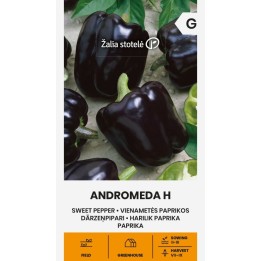 Pimento doce Andromeda H - Sementes