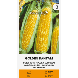 Milho doce Golden Bantam - Sementes