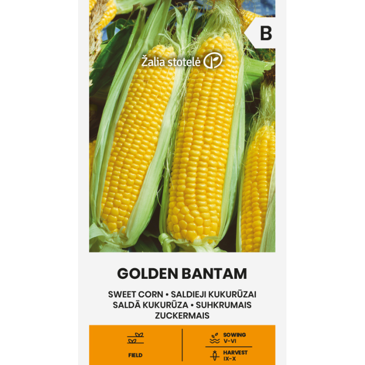 Milho doce Golden Bantam - Sementes