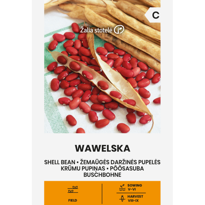Feijão Wawelska - Sementes
