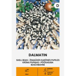 Feijão Dalmatin - Sementes