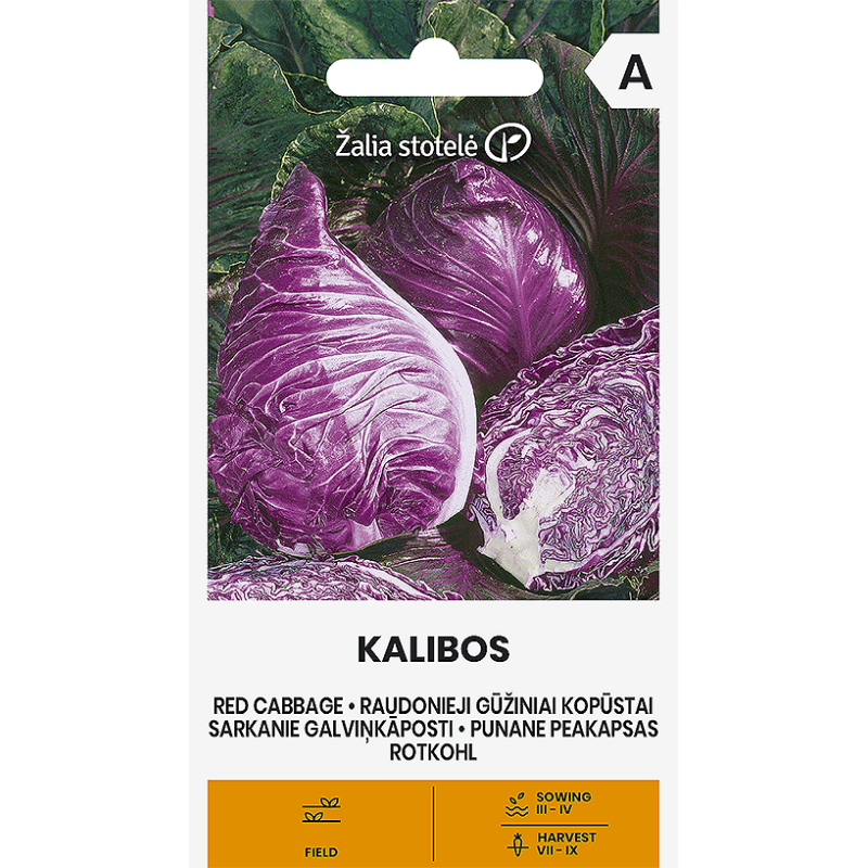 Couve roxa Kalibos - Sementes