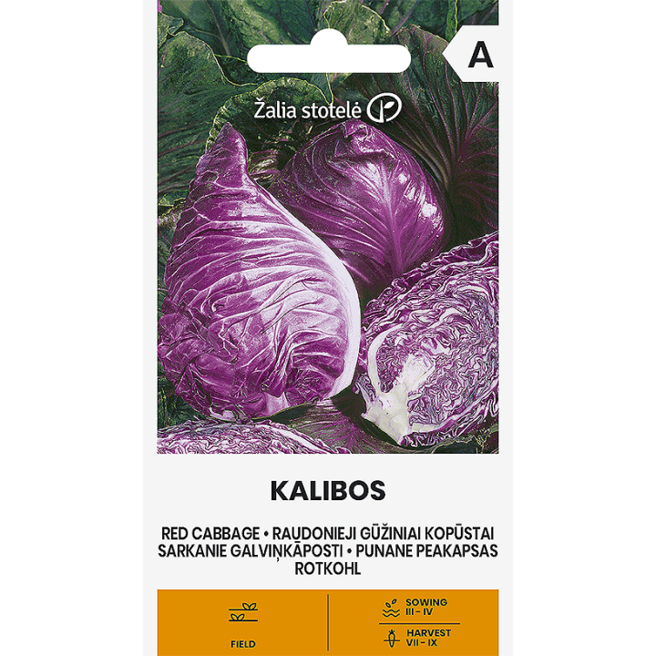 Couve roxa Kalibos - Sementes