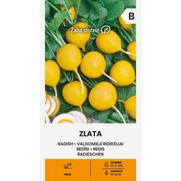 Rabanete Zlata - Sementes