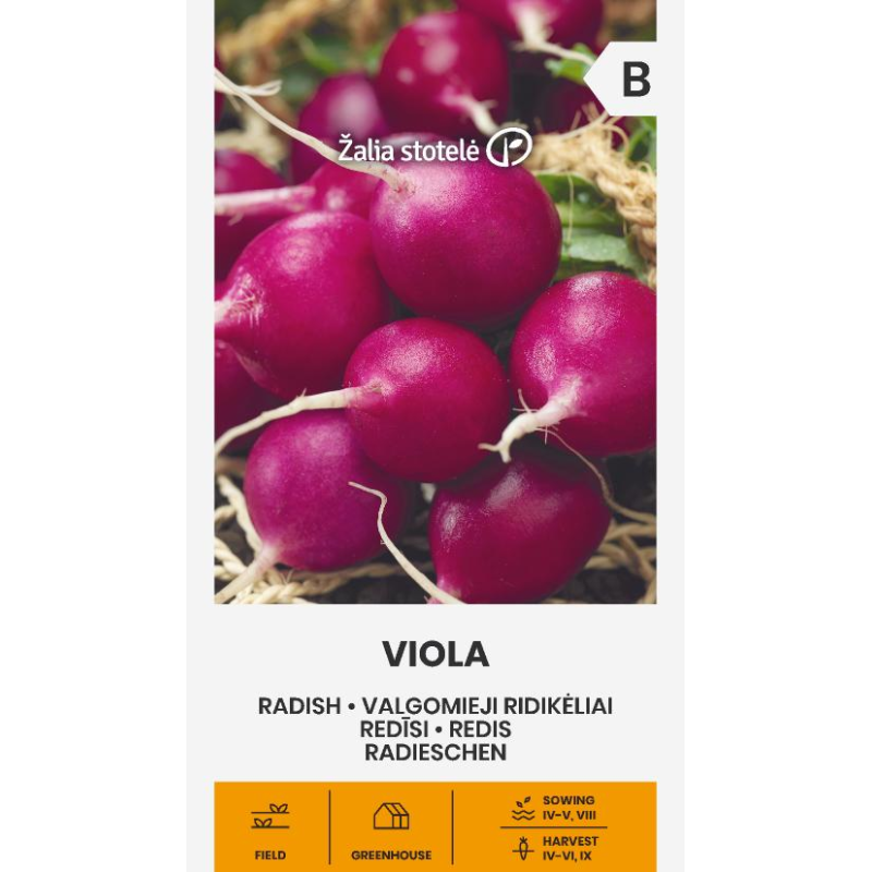 Rabanete Viola - Sementes