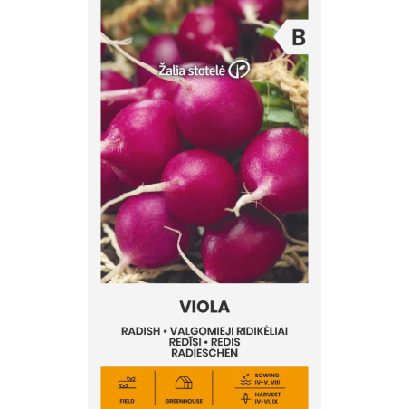 Rabanete Viola - Sementes