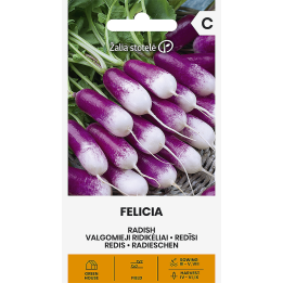 Rabanete Felicia - Sementes