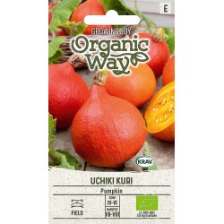 Abóbora Uchiki Kuri - Sementes