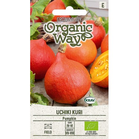 Abóbora Uchiki Kuri - Sementes