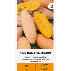 Abóbora Pink Banana Jumbo - Sementes