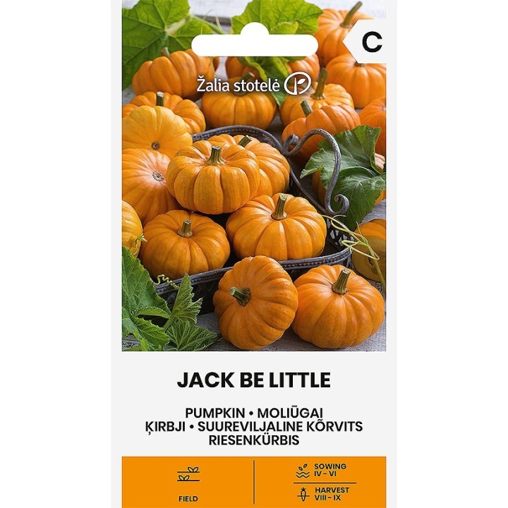Abóbora Jack Be Little - Sementes