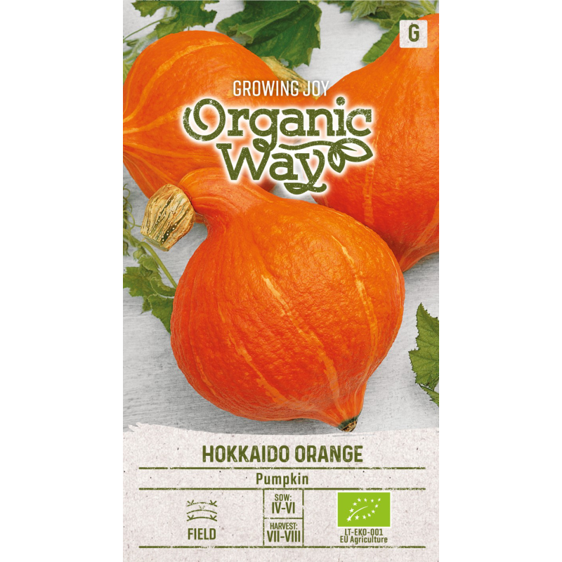 Abóbora Hokkaido laranja - Sementes