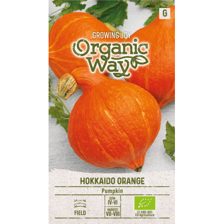 Abóbora Hokkaido laranja - Sementes