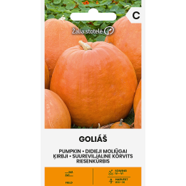 Abóbora Goliáš - Sementes