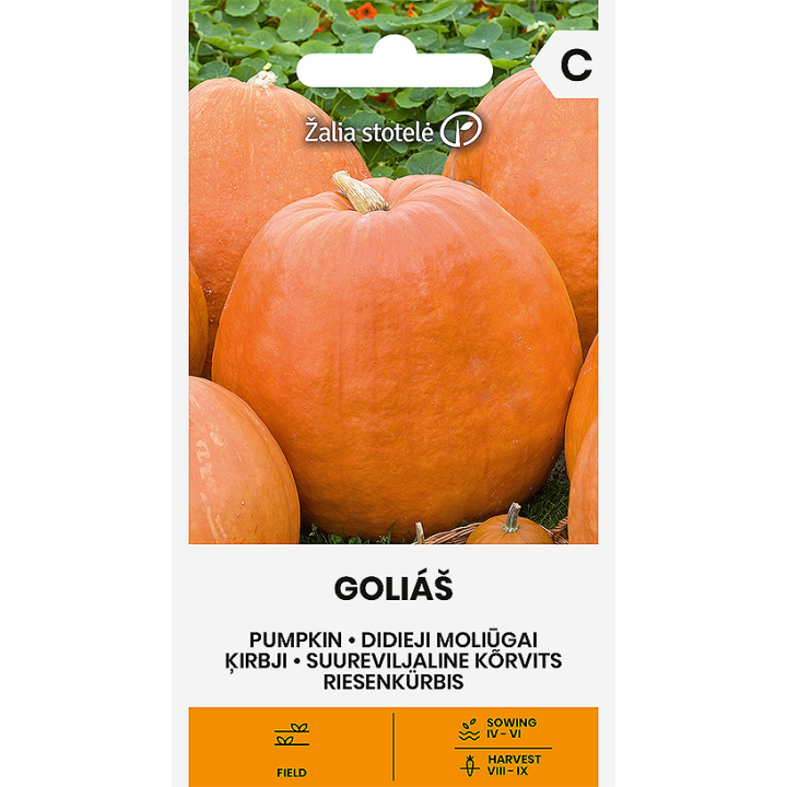 Abóbora Goliáš - Sementes