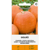 Abóbora Goliáš - Sementes