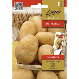 Batata Soltastic H - Sementes