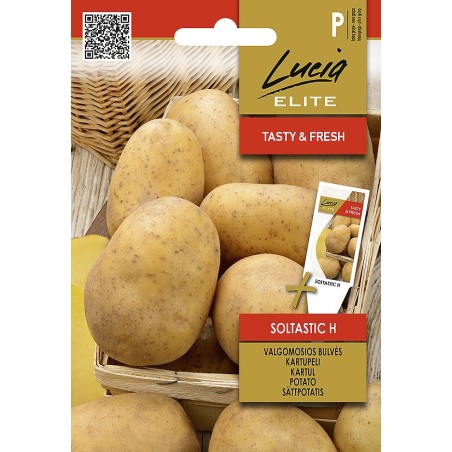 Batata Soltastic H - Sementes