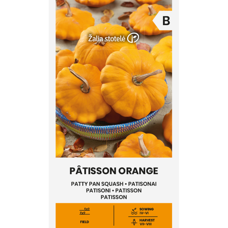 Abóbora-patisson laranja - Sementes