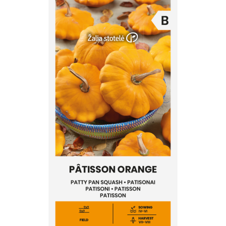 Abóbora-patisson laranja - Sementes