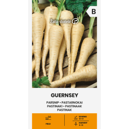 Pastinaca Guernsey - Sementes