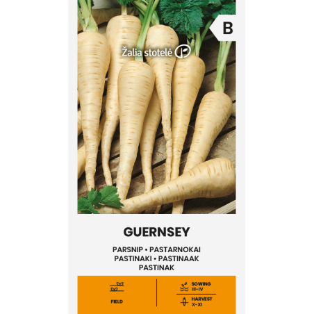 Pastinaca Guernsey - Sementes