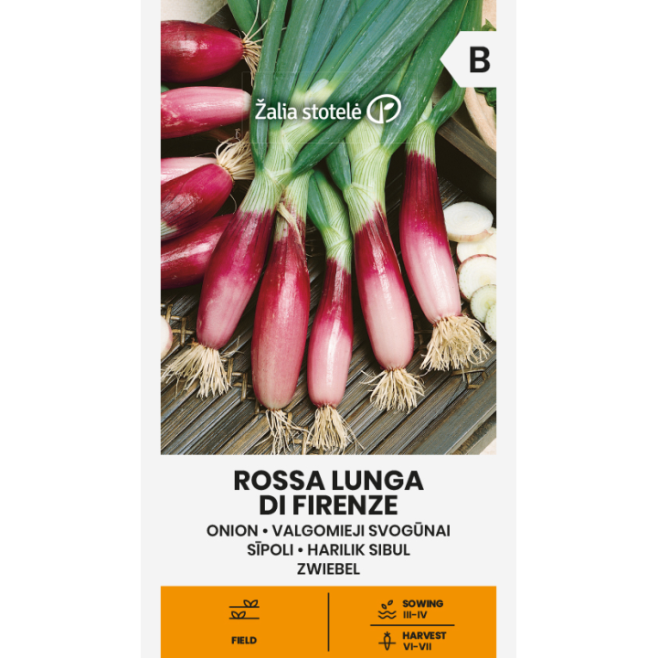Sementes de Cebola longa vermelha Florença (Allium sp.)