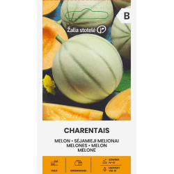 Melão Charentais - Sementes