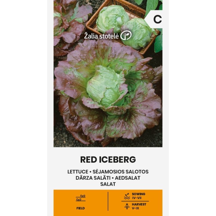 Alface Iceberg vermelha - Sementes