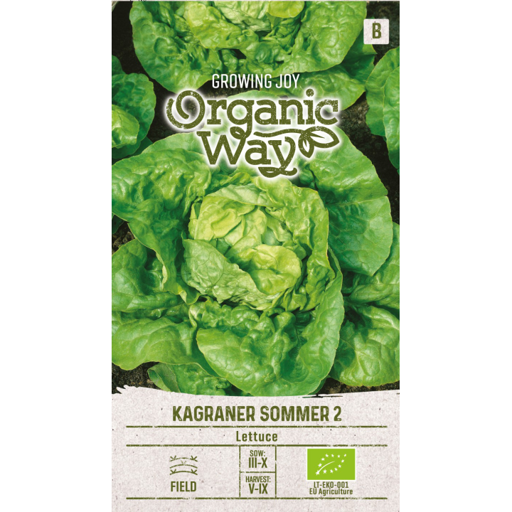 Alface Kagraner Sommer 2 - Sementes