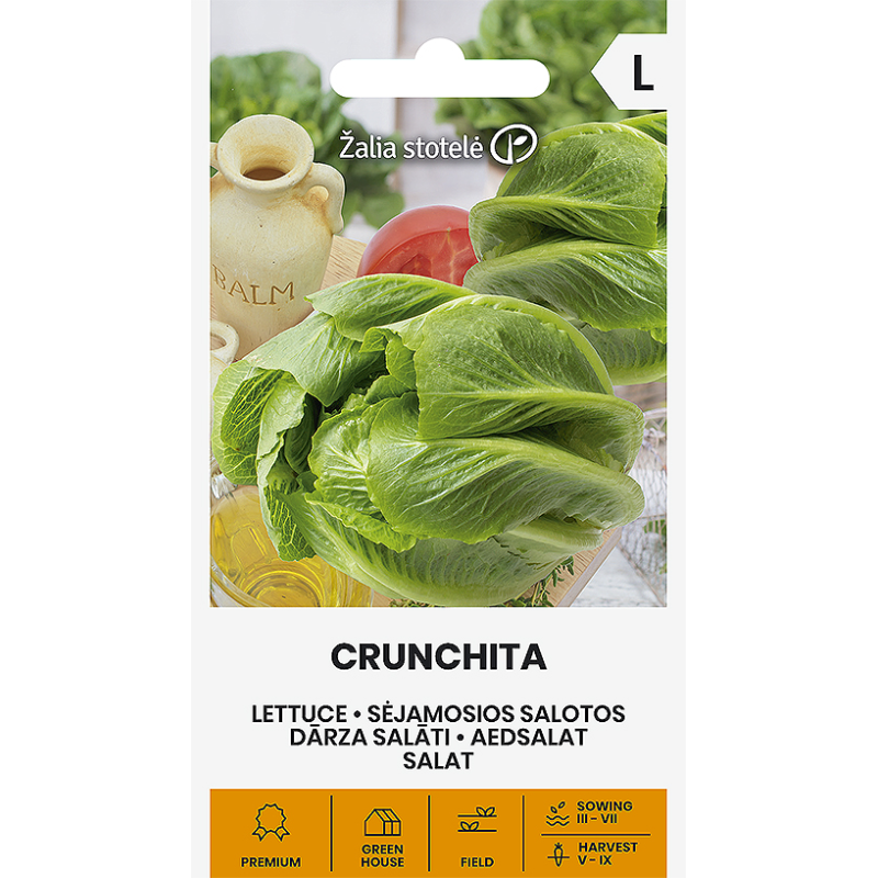 Alface Crunchita - Sementes