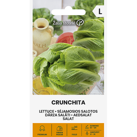 Alface Crunchita - Sementes