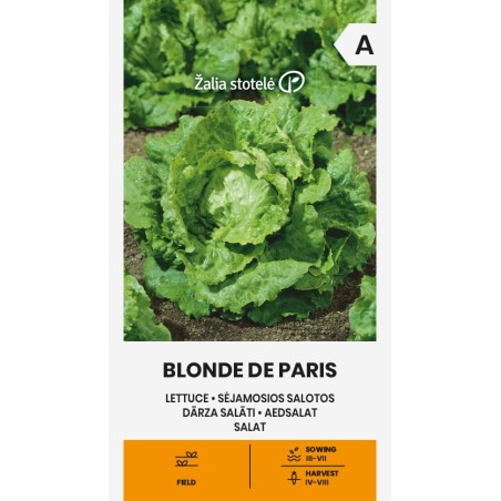 Alface Blonde de Paris - Sementes