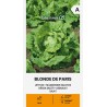 Alface Blonde de Paris - Sementes