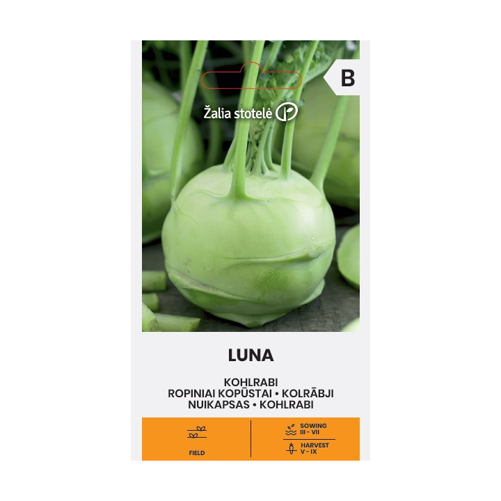 Couve-rábano Luna - Sementes